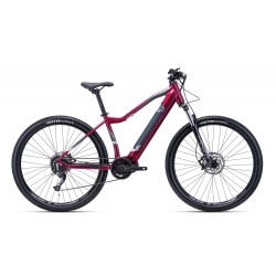 CTM RUBY (29") 630Wh 2022